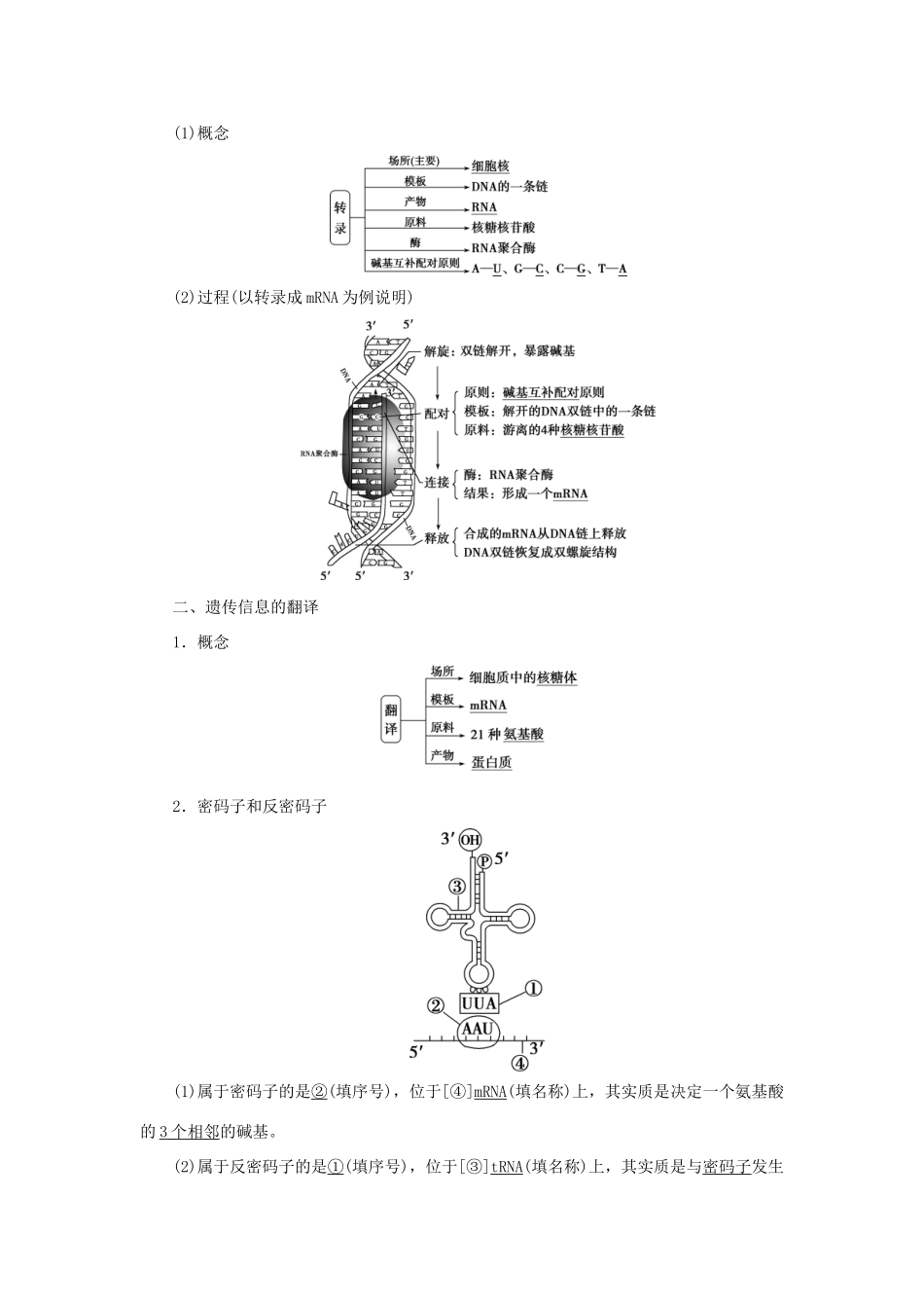 高中生物 第4章 基因的表达 第1节 基因指导蛋白质的合成学案 新人教版必修第二册-新人教版高一第二册生物学案_第2页