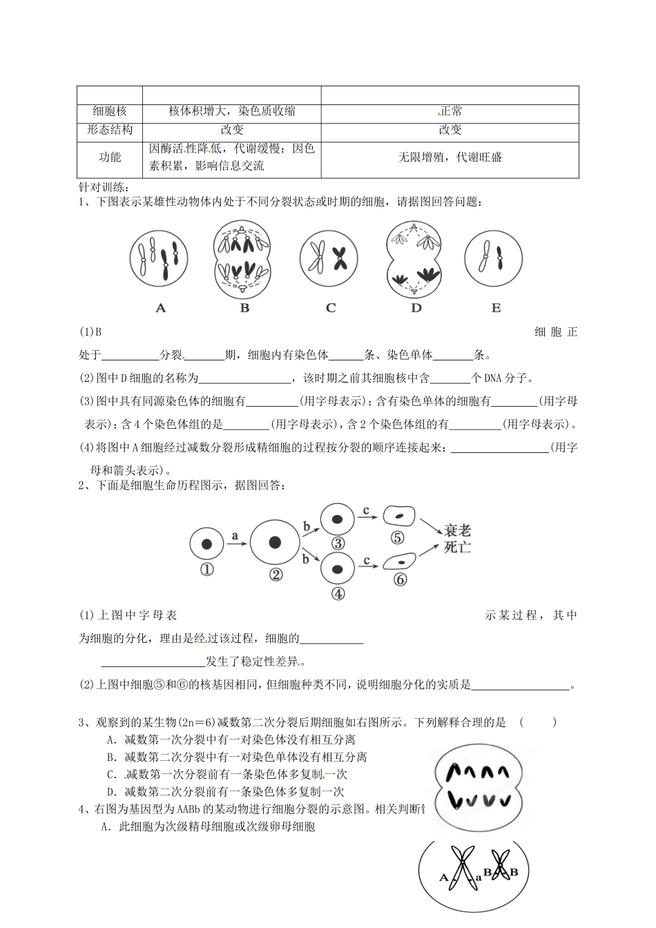 高考生物专题复习 专题三 细胞的生命历程学案-人教版高三全册生物学案_第2页