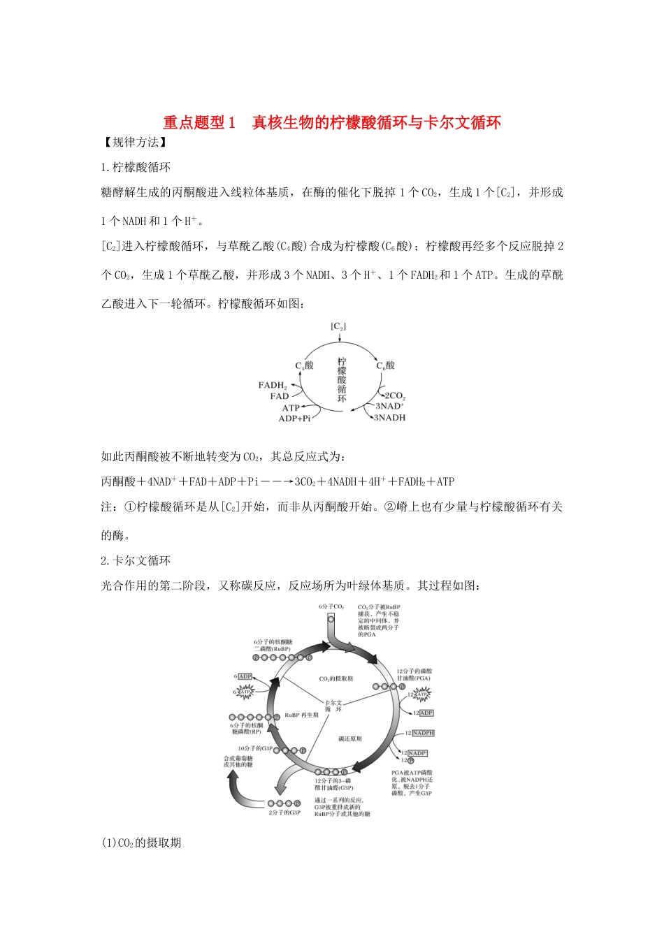 高考生物总复习 第一部分 非选择题必考五大专题 专题一 细胞的代谢 重点题型1 真核生物的柠檬酸循环与卡尔文循环学案-人教版高三全册生物学案_第1页