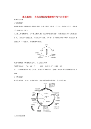 高考生物总复习 第一部分 非选择题必考五大专题 专题一 细胞的代谢 重点题型1 真核生物的柠檬酸循环与卡尔文循环学案-人教版高三全册生物学案