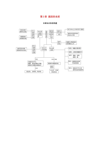 高中生物 第3章 基因的本质本章知识体系构建学案 新人教版必修2-新人教版高一必修2生物学案