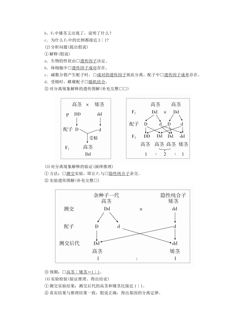 高考生物一轮复习 第5单元 遗传的基本规律与伴性遗传 第14讲 基因的分离定律学案（含解析）（必修2）-人教版高三必修2生物学案_第3页