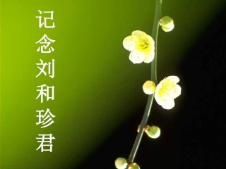 《记念刘和珍君》上课