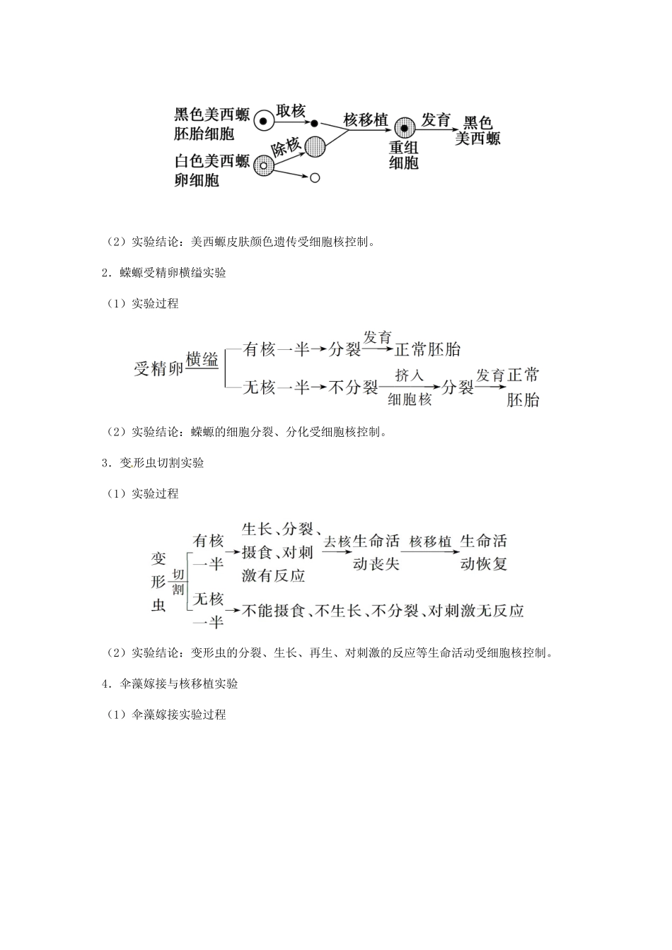 （全国通用）高考生物总复习《细胞核—系统的控制中心》专题突破学案-人教版高三全册生物学案_第2页