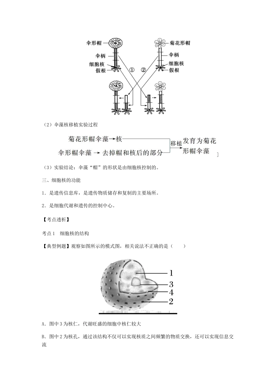 （全国通用）高考生物总复习《细胞核—系统的控制中心》专题突破学案-人教版高三全册生物学案_第3页