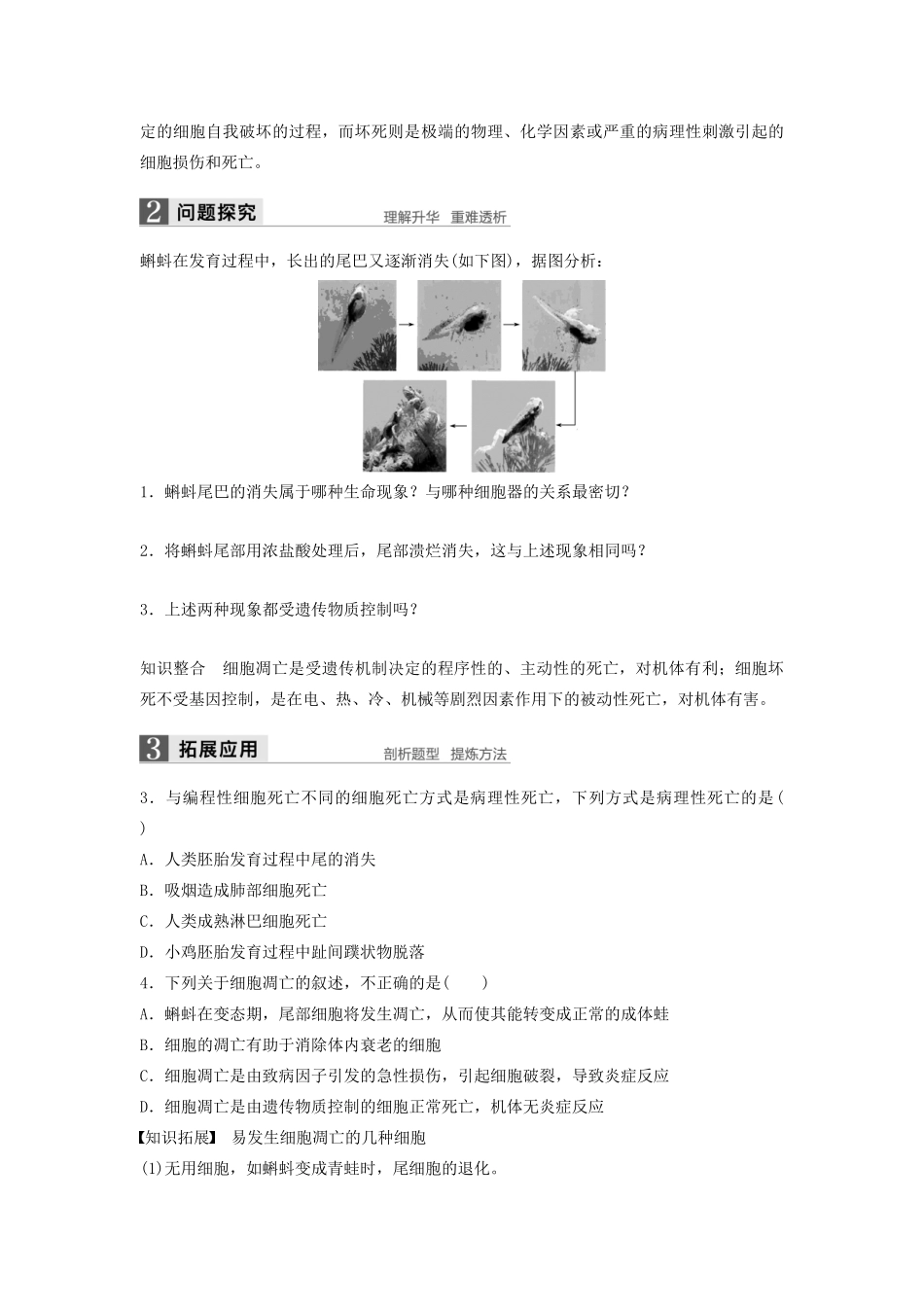 高中生物 4.3 细胞的衰老和凋亡学案 浙科版必修1-浙科版高中必修1生物学案_第3页