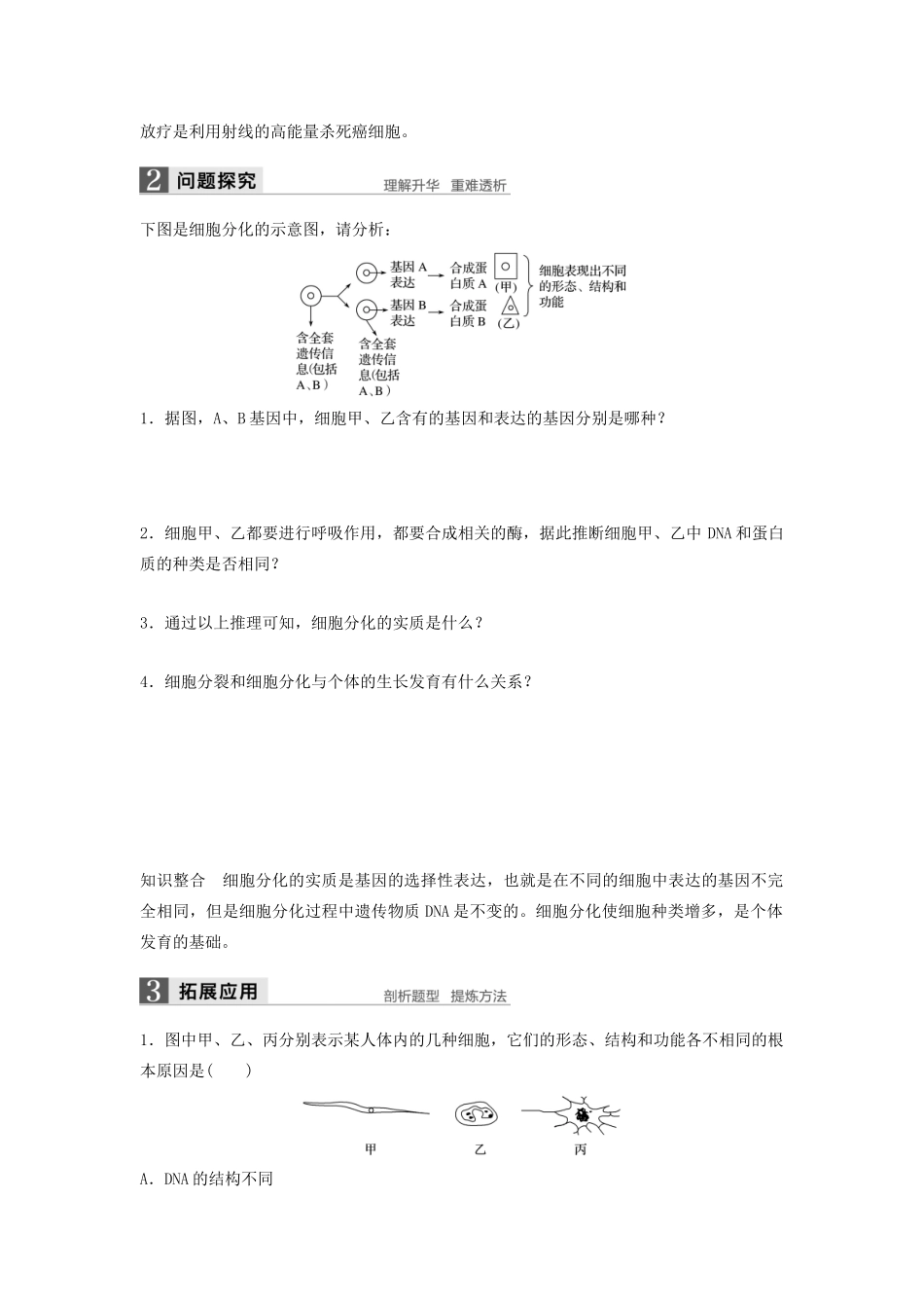 高中生物 4.2 细胞的分化学案 浙科版必修1-浙科版高中必修1生物学案_第2页