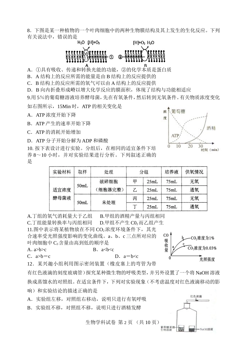 细胞呼吸与光合作用_第2页