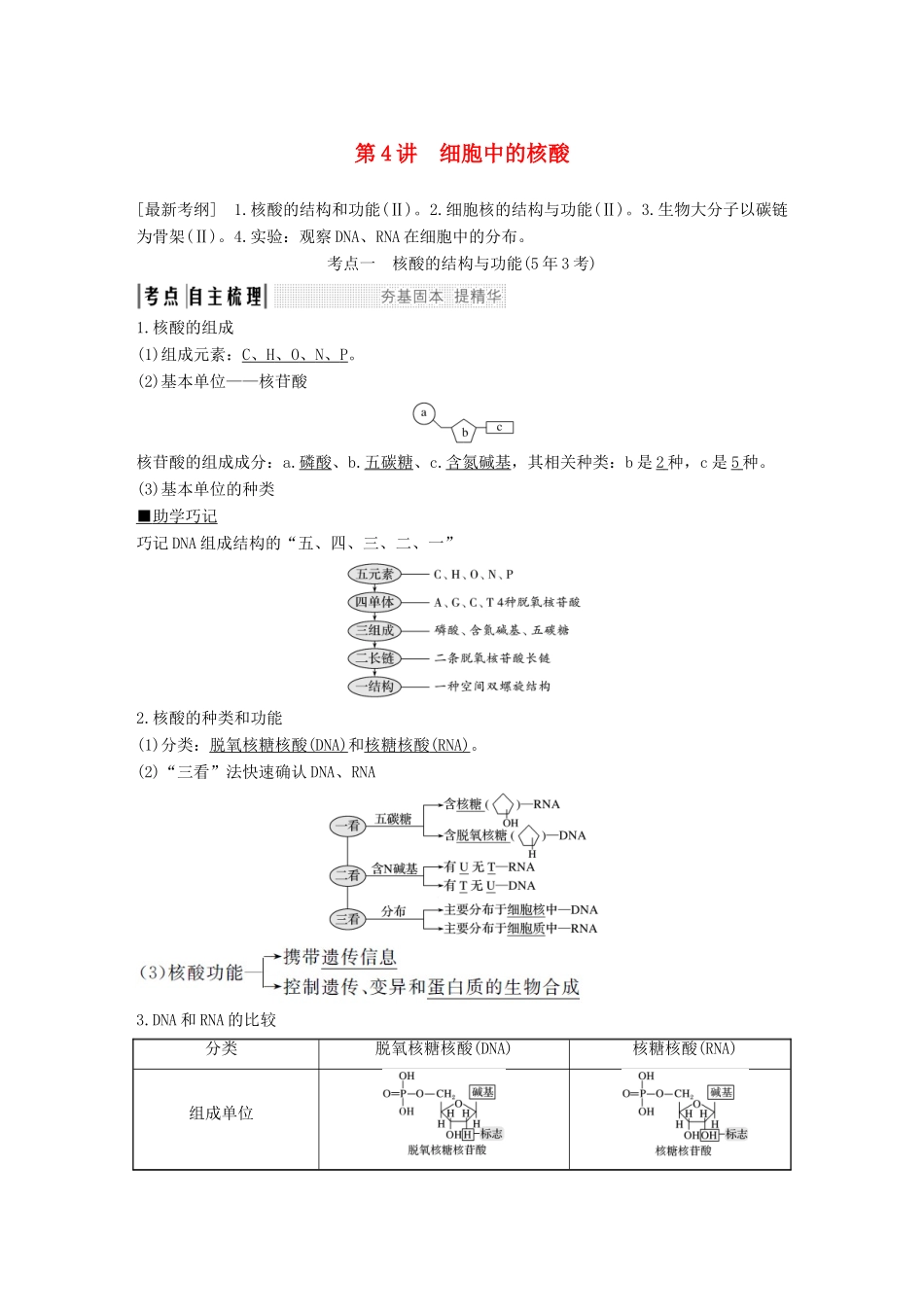 高考生物一轮复习 第二单元 细胞的自我保障 第4讲 细胞中的核酸创新备考学案 中图版-中图版高三全册生物学案_第1页