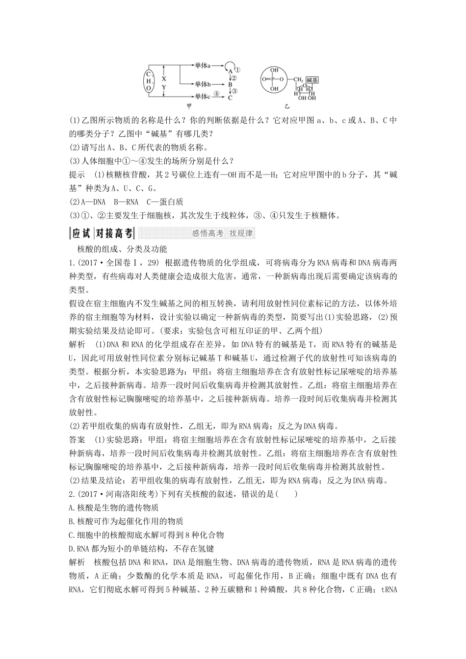 高考生物一轮复习 第二单元 细胞的自我保障 第4讲 细胞中的核酸创新备考学案 中图版-中图版高三全册生物学案_第3页