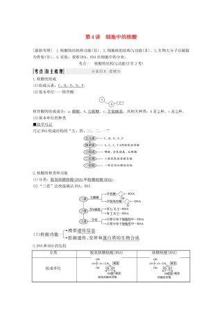 高考生物一轮复习 第二单元 细胞的自我保障 第4讲 细胞中的核酸创新备考学案 中图版-中图版高三全册生物学案