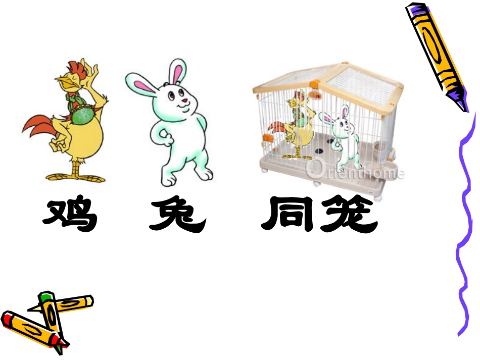 鸡兔同笼公开课PPT_第3页