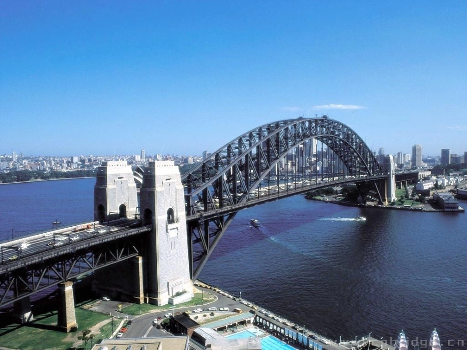 《生命桥》PPT课件_第2页