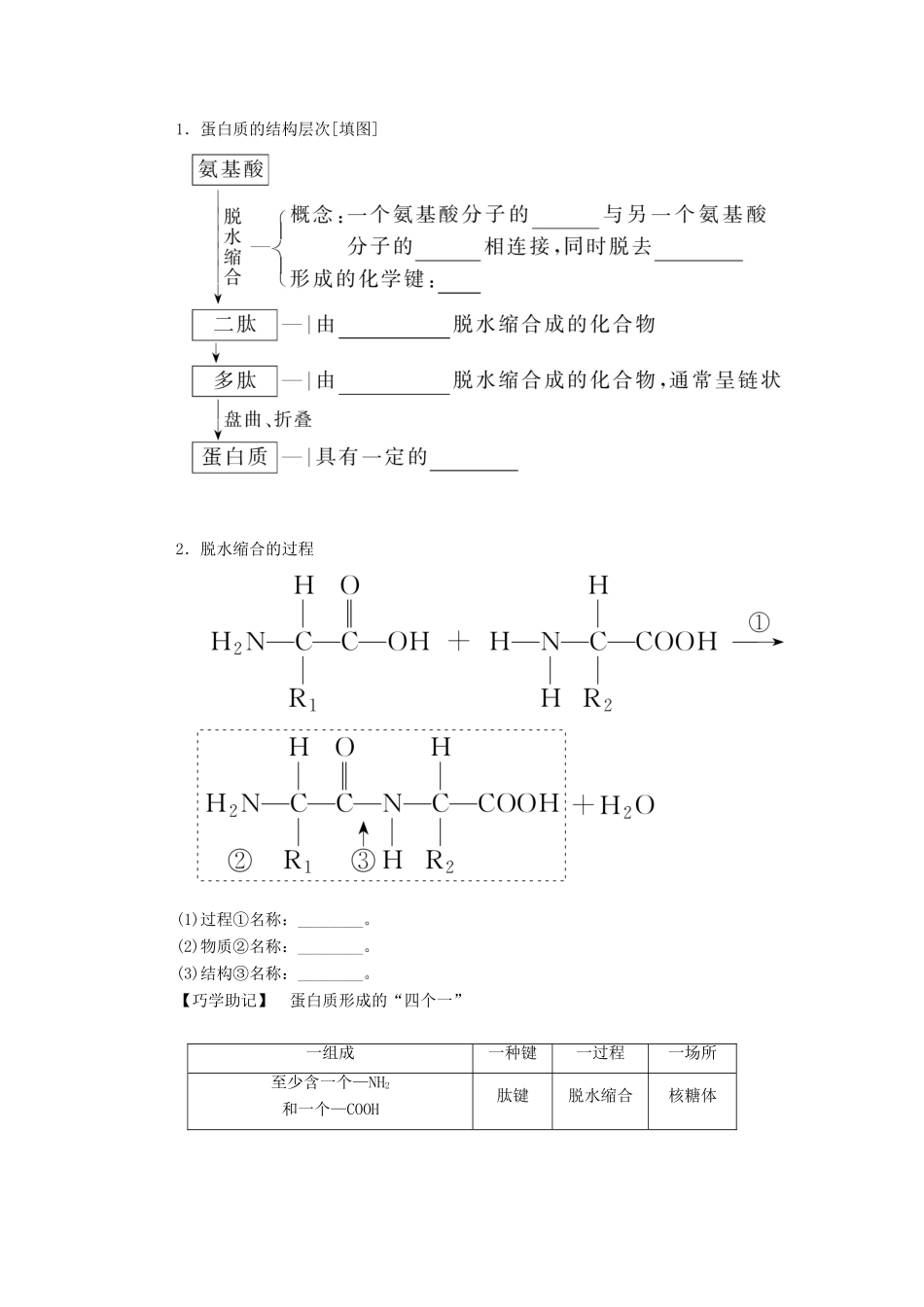 高中生物 第2章 组成细胞的分子 第4节 蛋白质是生命活动的主要承担者学案 新人教版必修1-新人教版高一必修1生物学案_第2页