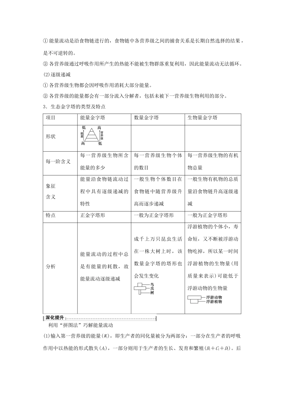高考生物总复习 第9单元 第33讲 生态系统的能量流动学案-人教版高三全册生物学案_第3页