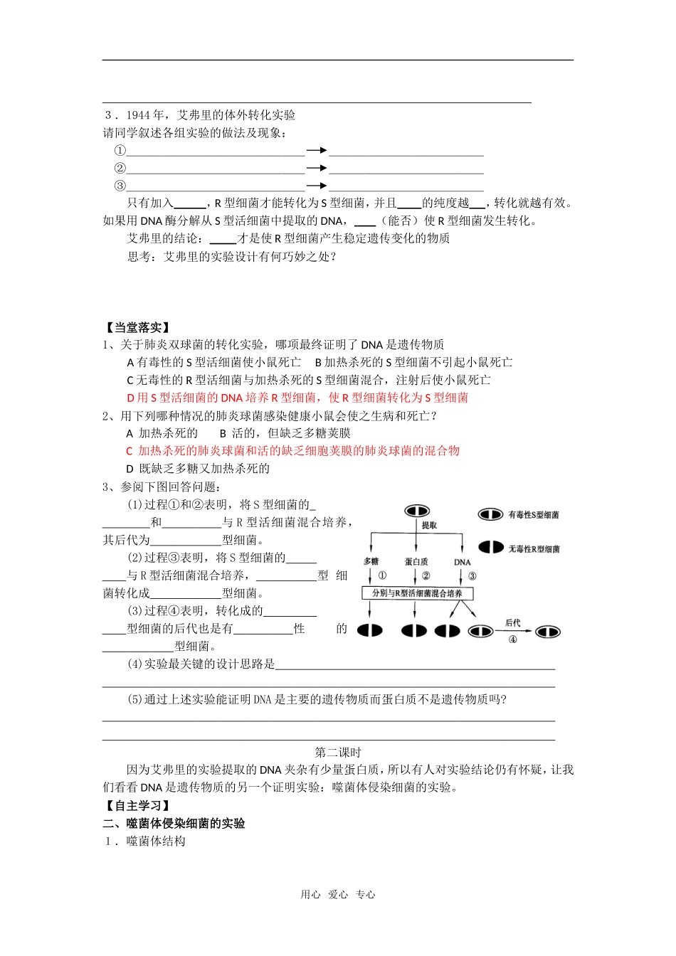 高三生物《DNA是主要的遗传物质 》_第2页
