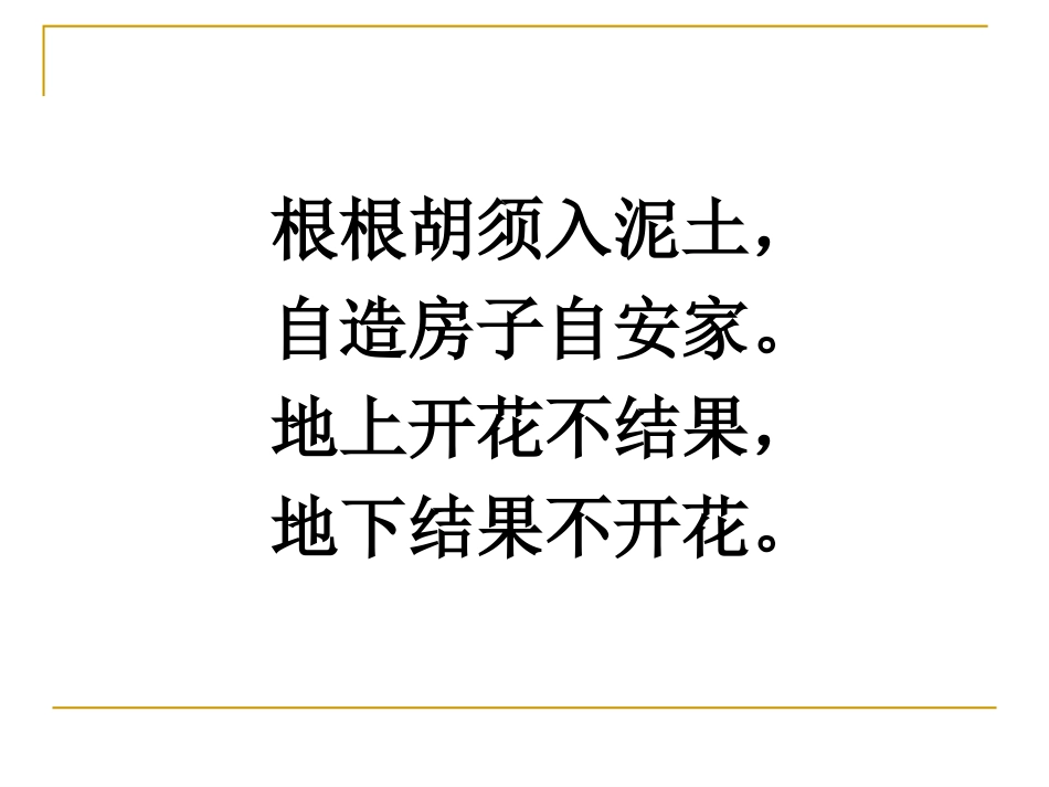 落花生（公开课）_第1页
