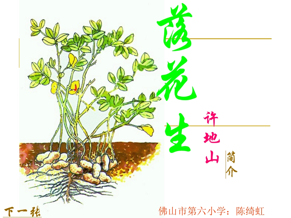 落花生（公开课）_第2页