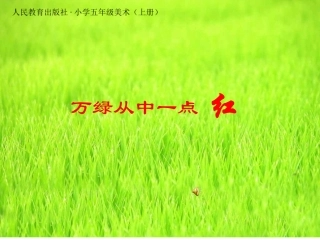 万绿丛中一点红课件