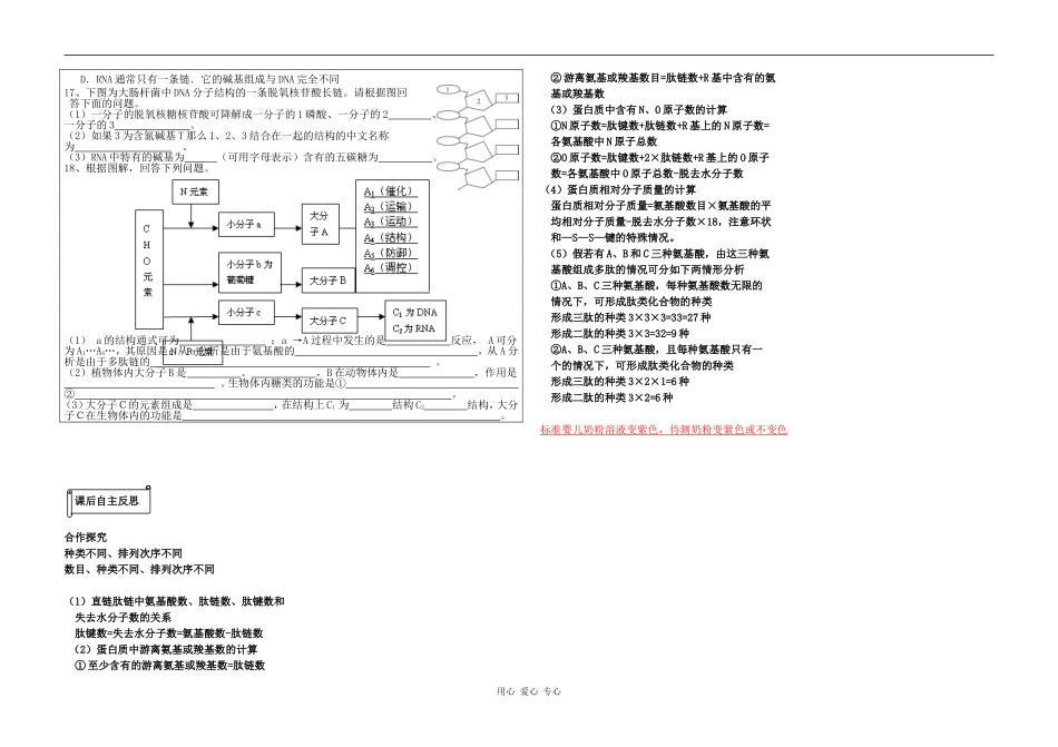 2.2  细胞中的生物大分子（核酸）_第3页