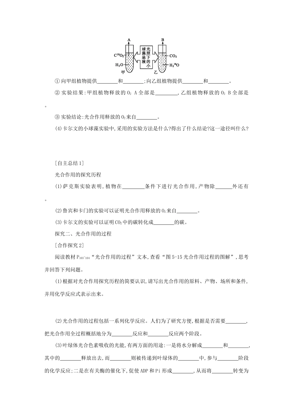 高中生物 5.4.2 光合作用的原理和应用学案（含解析）新人教版必修1-新人教版高中必修1生物学案_第2页