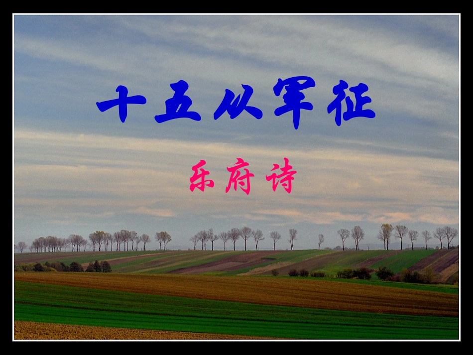 《十五从军征》课件_第1页