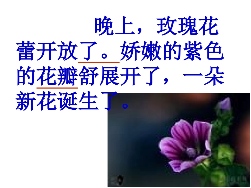 《紫色的小花》_第3页