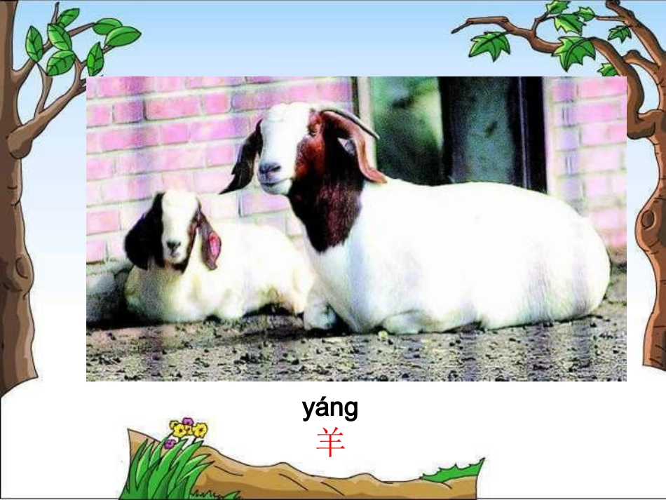 二年级狼和小羊示范课课件_第3页