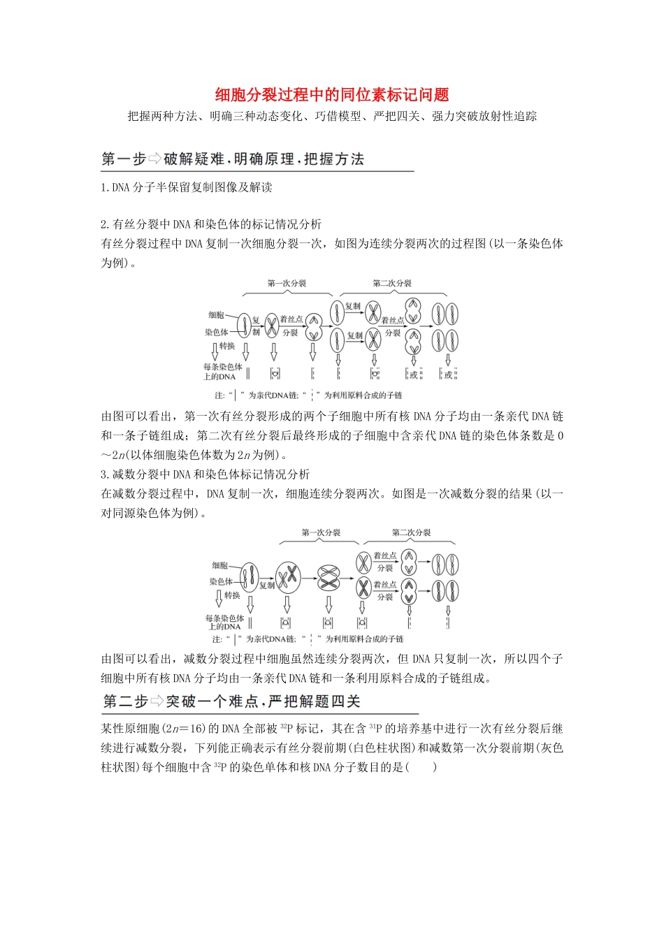 （江苏专用）新高考生物 第四单元 细胞的生命历程 补上一课3 细胞分裂过程中的同位素标记问题学案-人教版高三全册生物学案_第1页