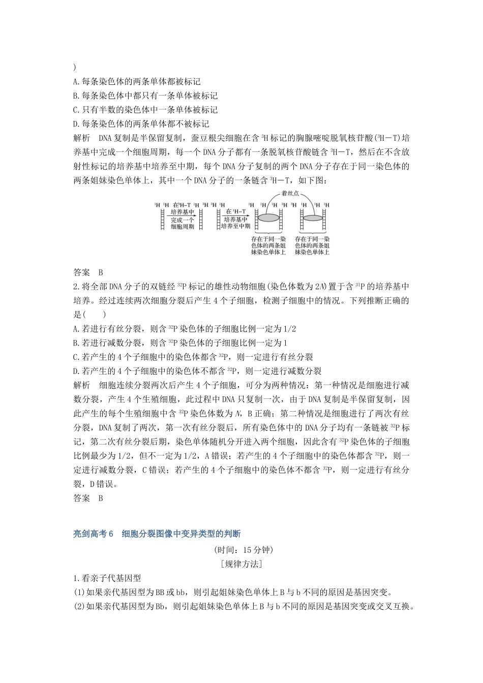 （江苏专用）新高考生物 第四单元 细胞的生命历程 补上一课3 细胞分裂过程中的同位素标记问题学案-人教版高三全册生物学案_第3页