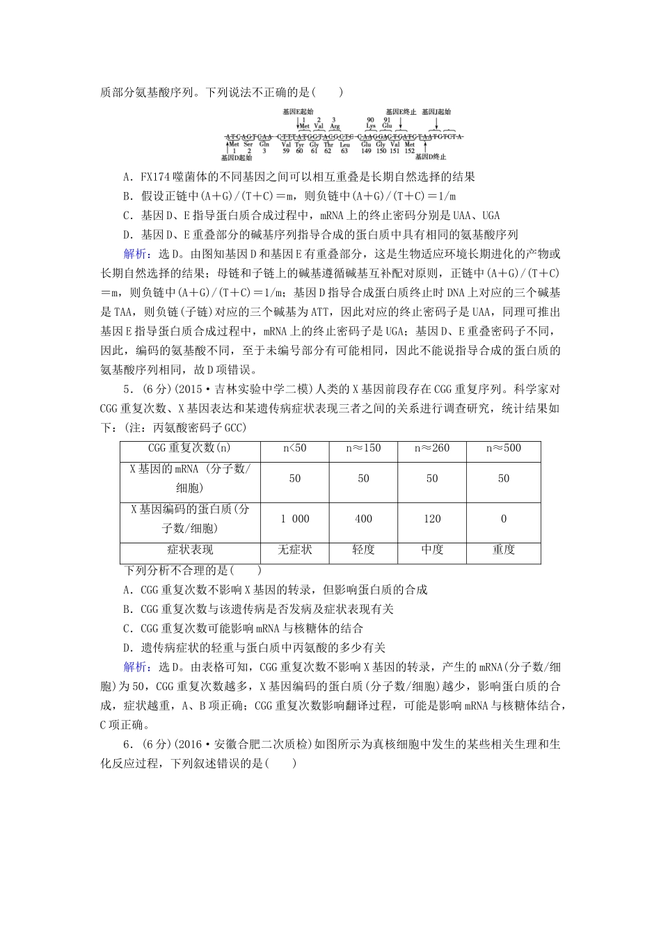 高考生物大一轮复习 第六章 遗传的分子基础学案-人教版高三全册生物学案_第2页