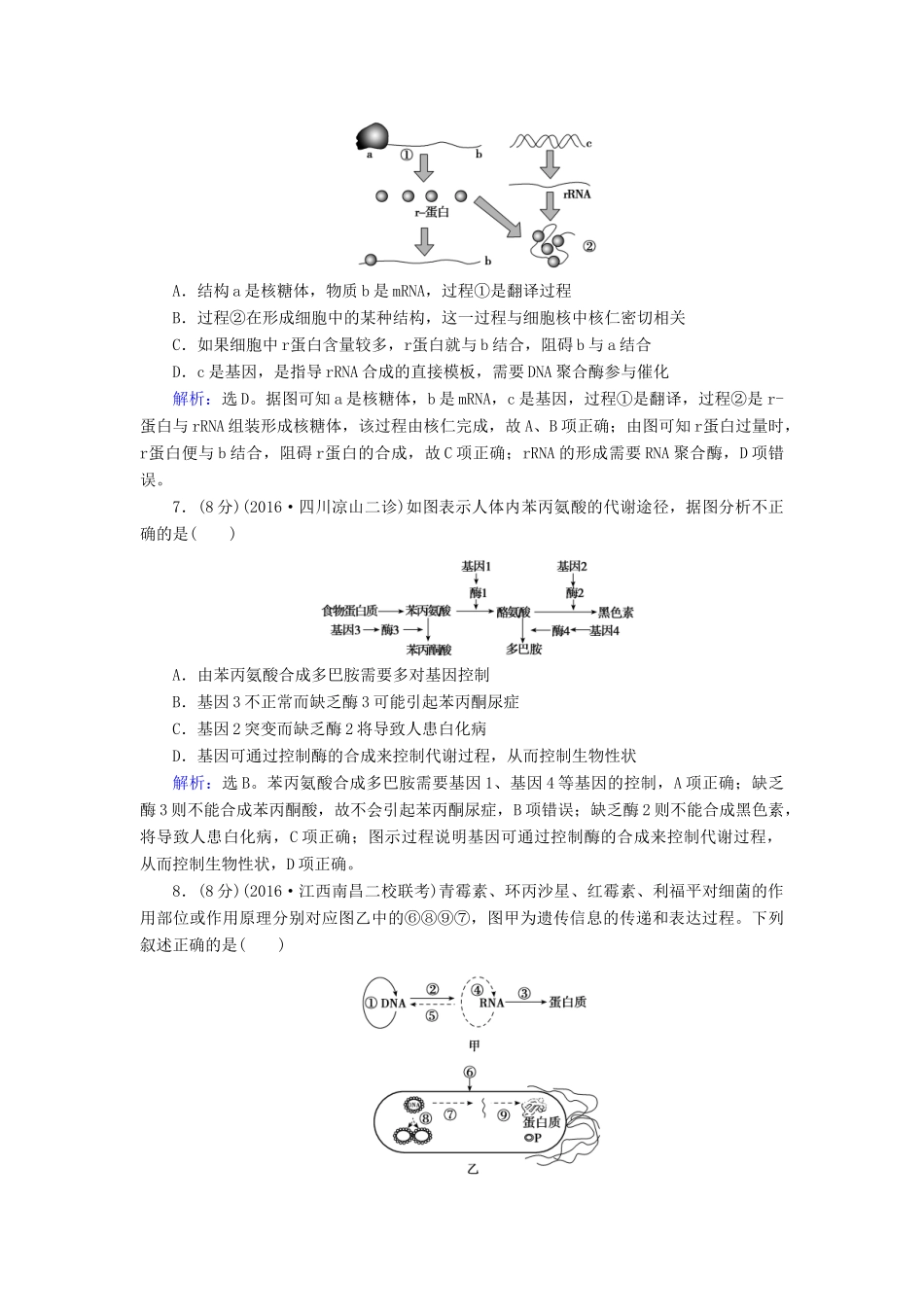 高考生物大一轮复习 第六章 遗传的分子基础学案-人教版高三全册生物学案_第3页