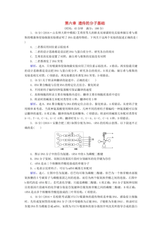 高考生物大一轮复习 第六章 遗传的分子基础学案-人教版高三全册生物学案