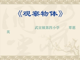 《观察物体》