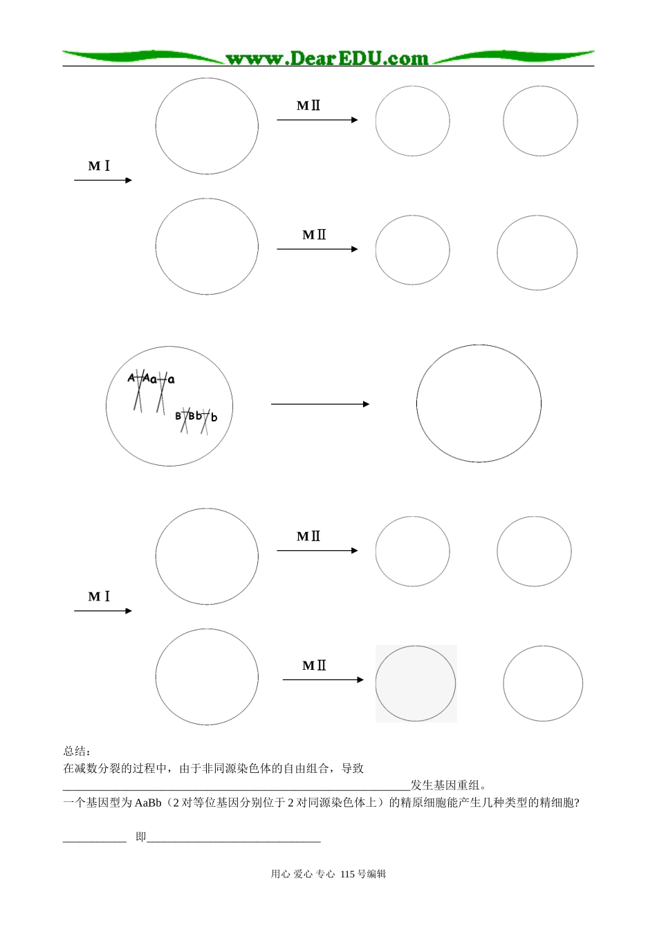 08年南京市高一生物学科 基因重组学案人教版必修二_第2页