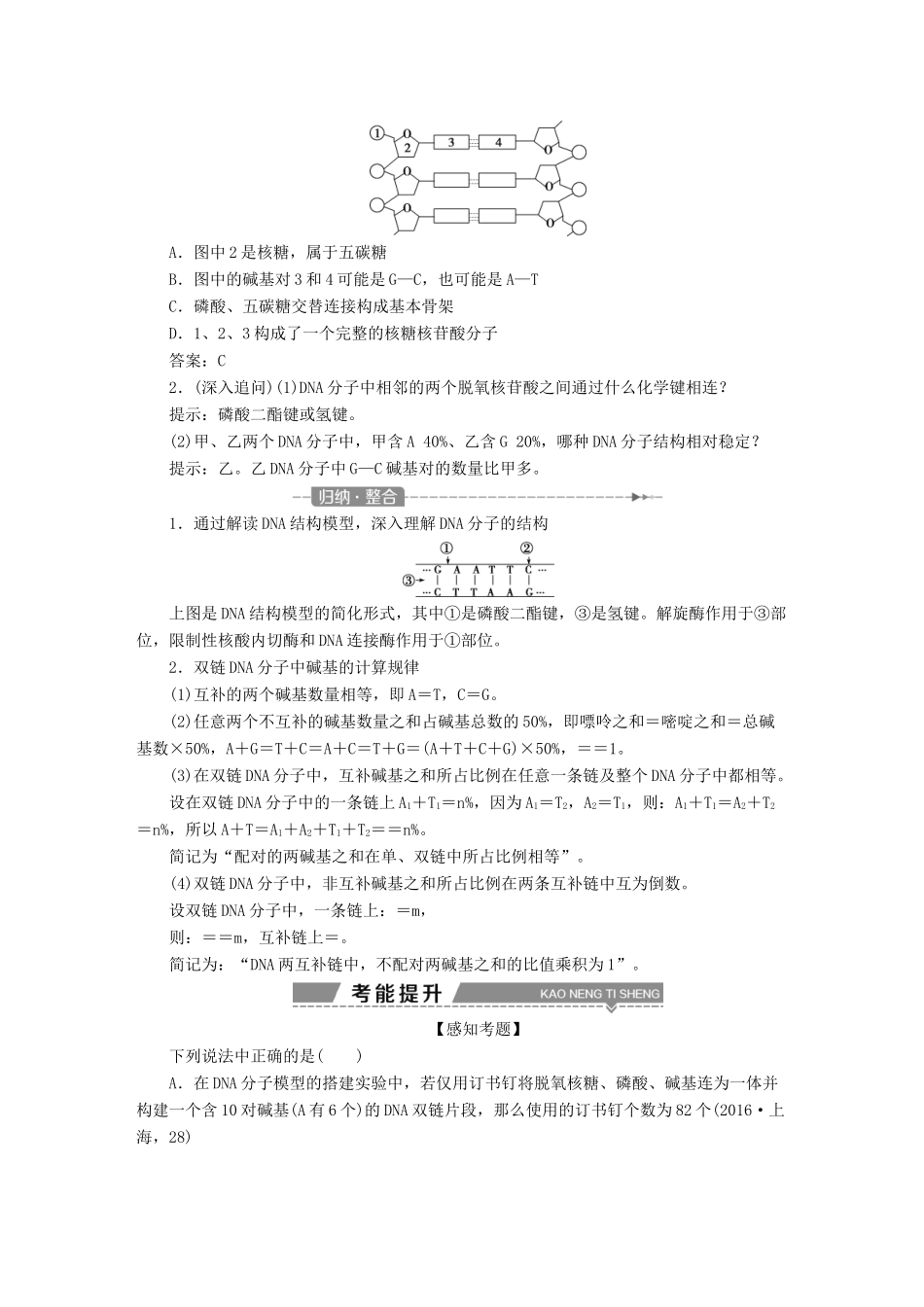 （全国）高考生物大一轮复习 第六单元 遗传的物质基础 第23讲 DNA分子的结构DNA的复制基因是有遗传效应的DNA片段学案-人教版高三全册生物学案_第2页