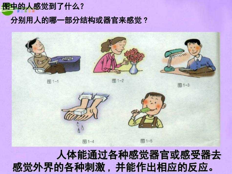 1.1感觉世界（1）_第2页