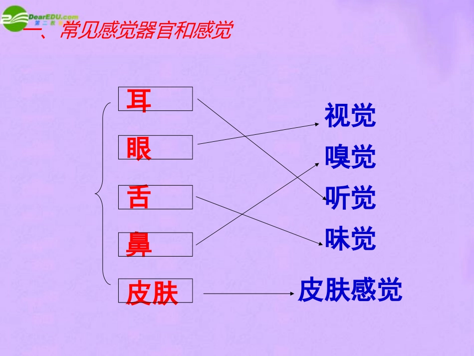1.1感觉世界（1）_第3页