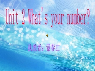 What's_your_number_课件