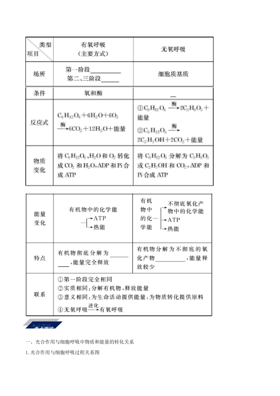 备战高考生物二轮复习 新突破 专题04 光合作用和呼吸作用学案（含解析）-人教版高三全册生物学案_第3页