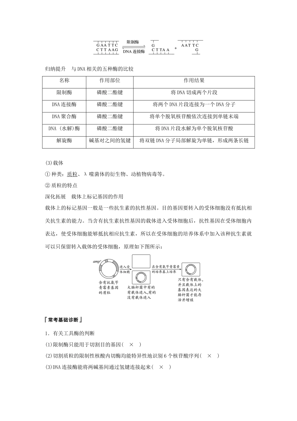 高考生物大一轮复习 第十单元 现代生物科技专题 第33讲 基因工程学案-人教版高三全册生物学案_第2页