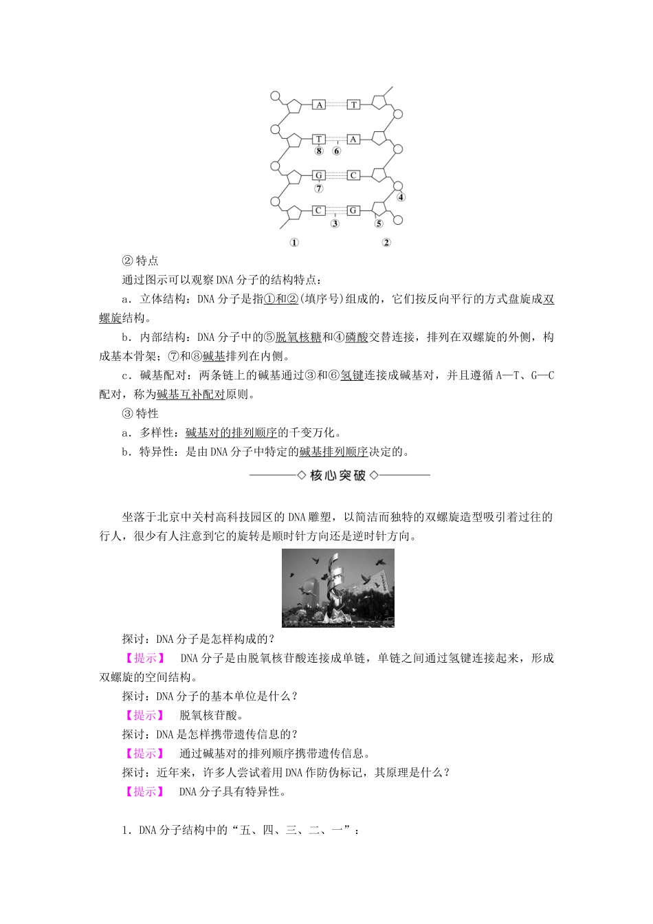 高中生物 第4章 遗传的分子基础 第2节 DNA分子的结构和复制（第1课时）DNA分子的结构学案 苏教版必修2-苏教版高二必修2生物学案_第2页