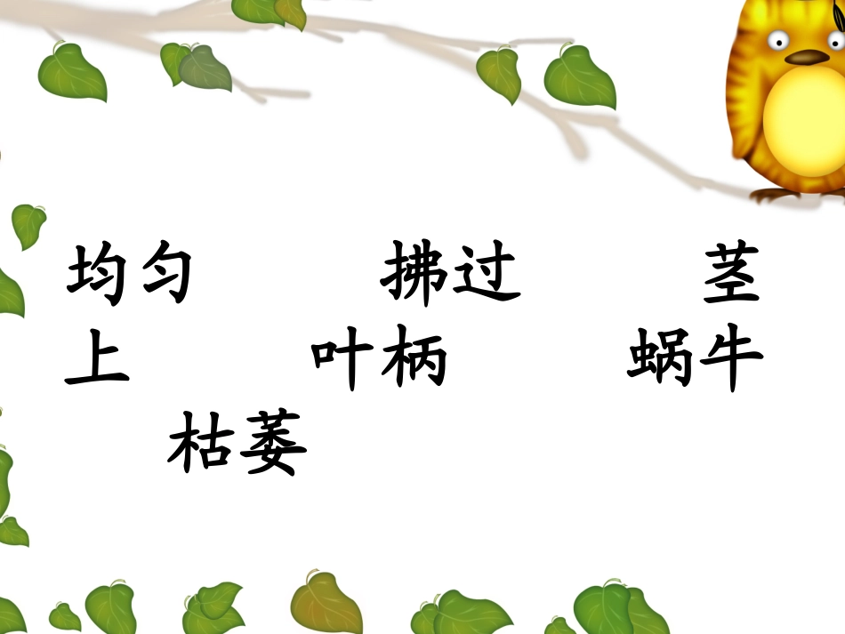 六年级爬山虎的脚演示文稿廖海珊_第3页