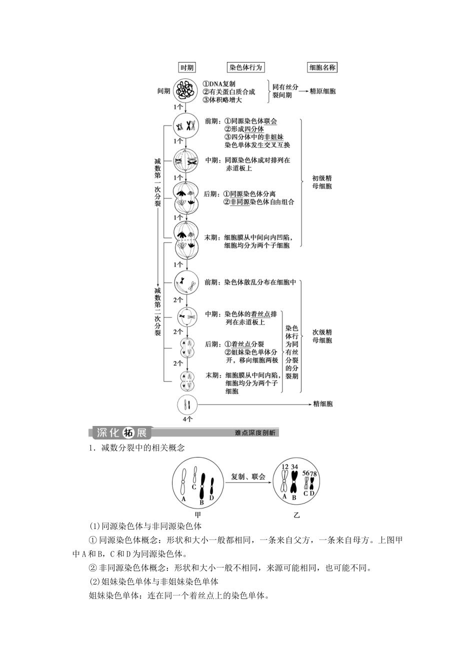 高中生物 第2章 基因和染色体的关系 第1节 减数分裂和受精作用（Ⅰ）学案 新人教版必修2-新人教版高一必修2生物学案_第2页