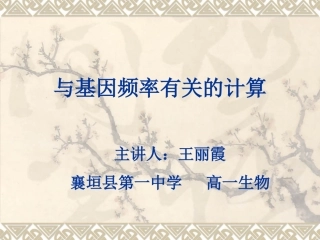 与基因频率有关的计算晒课