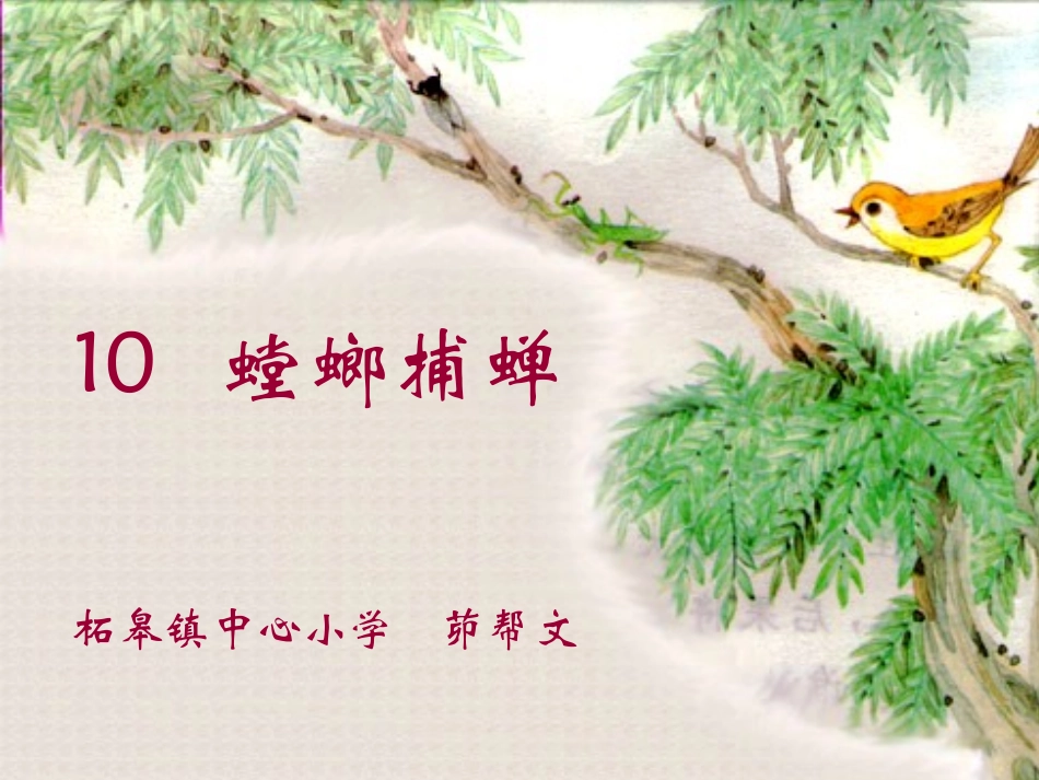 螳螂捕蝉PPT课件_第1页