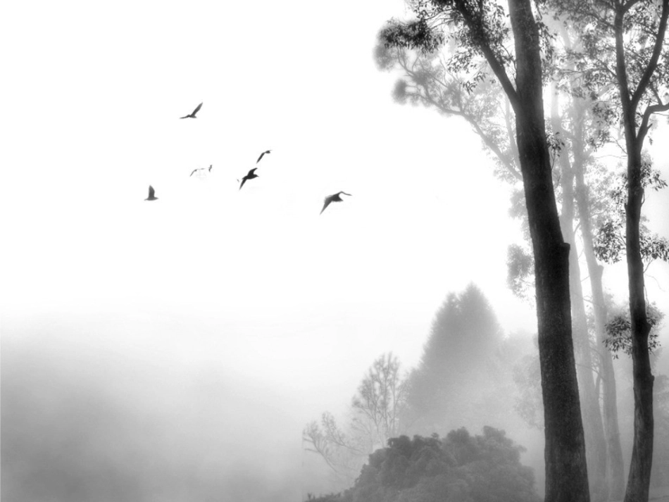 好看实用的PPT模板_第3页