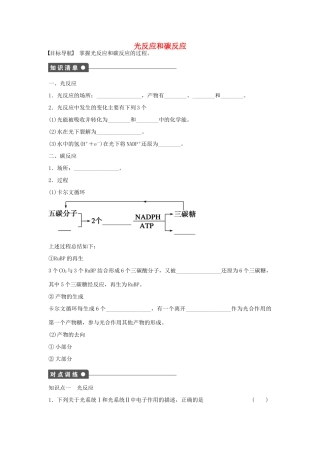 高中生物 第3章 第18课时 光反应和碳反应课时作业 浙科版必修1-浙科版高一必修1生物学案