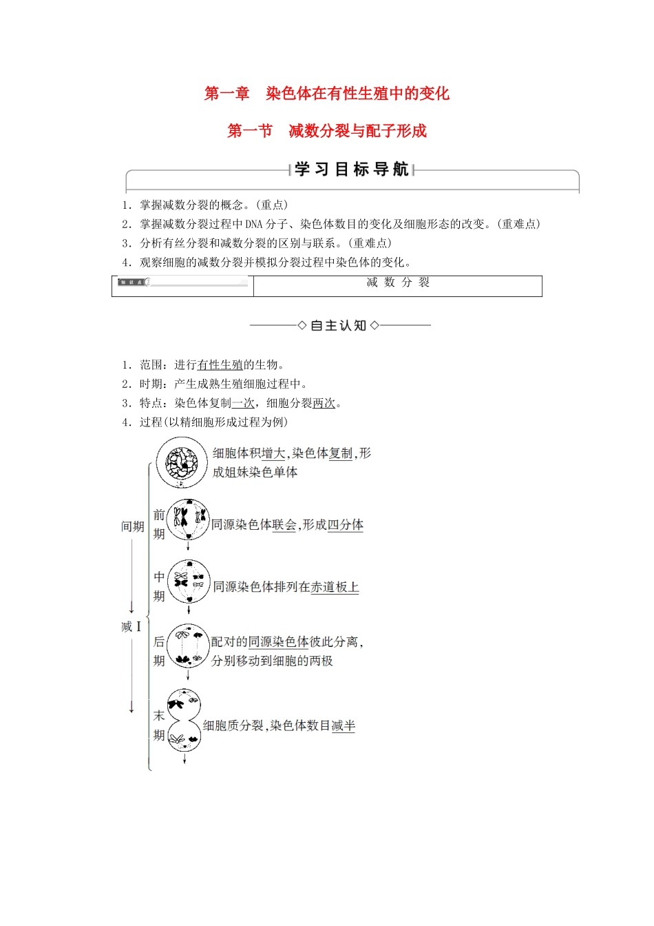 高中生物 第1单元 遗传与变异的细胞学基础 第1章 染色体在有性生殖中的变化 第1节 减数分裂与配子形成学案 中图版必修2-中图版高一必修2生物学案_第1页