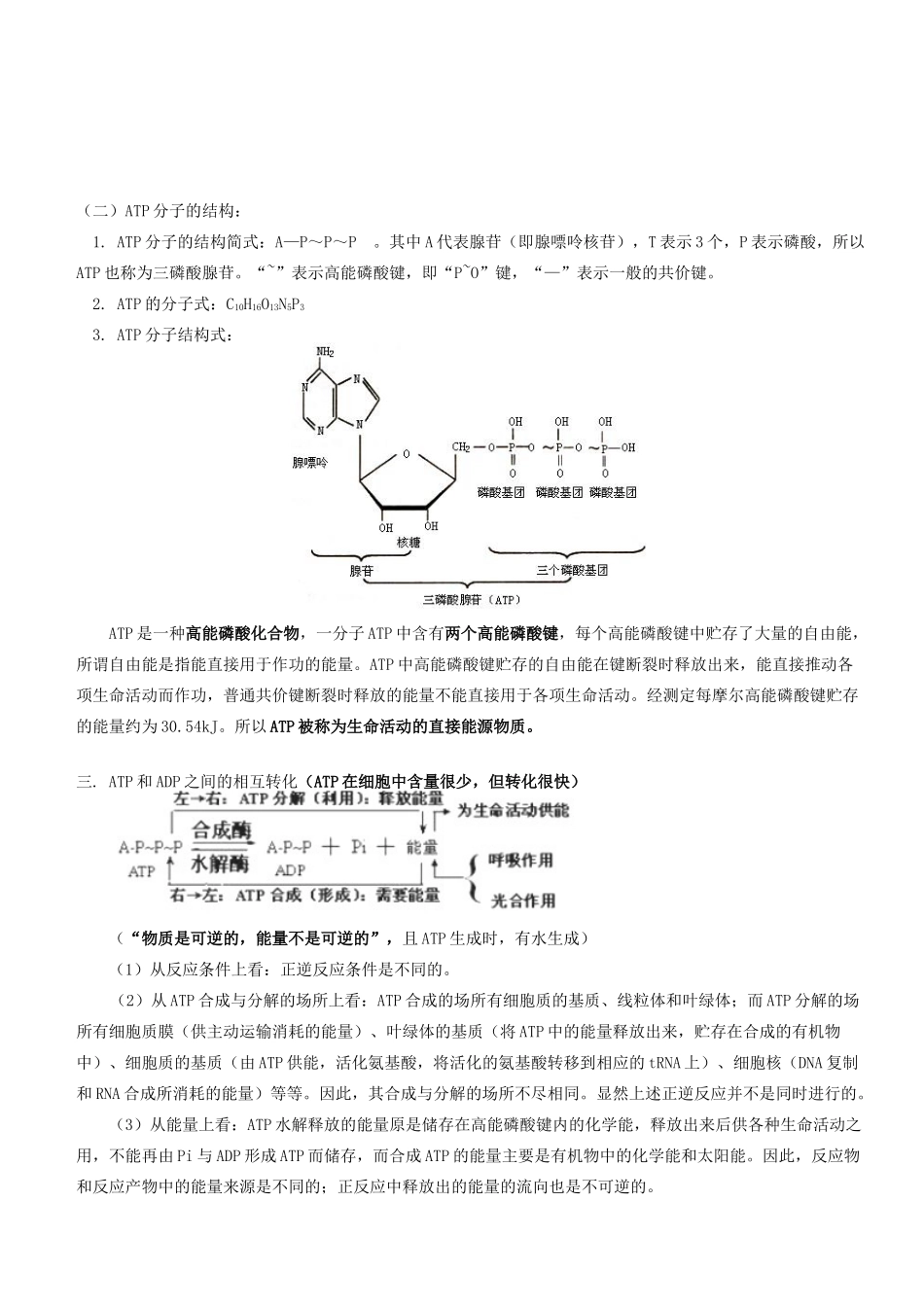 高中生物 第5章 细胞的能量供应和利用学案 新人教版必修1-新人教版高一必修1生物学案_第3页